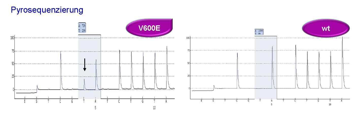 ng_braf v600e